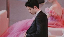 肖战绯闻爆料视频,真相与谣言的交织